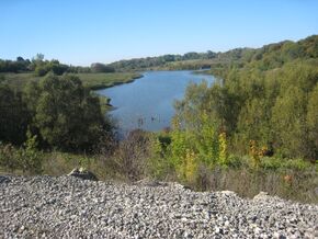 У Скорятинского кладбища 10.JPG