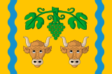 Флаг