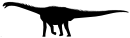Cetiosaurus Silhouette.svg