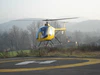 DF334 yellow hovering.JPG
