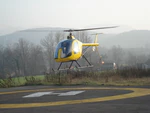 DF334 yellow hovering.JPG