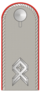 DH154-Oberfähnrich.png