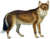 Dusicyon australis white background.png