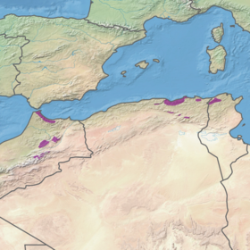 Ecoregion PA0513.png
