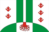 Флаг