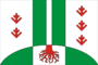 Flag of Andreevskoe (Chuvashia).png