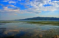 Kerkini lake 2.jpg