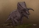 Sierraceratops.jpg