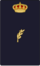 Cnpdivisme1.png
