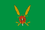 Флаг