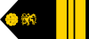 Kapteeniluutnantti olkalaatta.svg