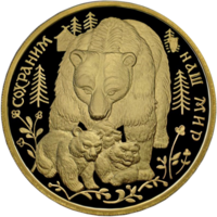 RR5219-0001R Бурый медведь.png