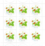 Russia stamp 2003 № 884list.jpg