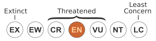 Status iucn3.1 EN.svg