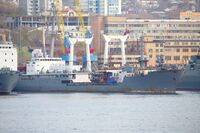 СС Саяны в Дальзаводе.JPG