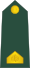 04-Slovenian Army-SGT.svg