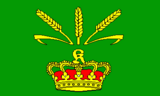 Флаг