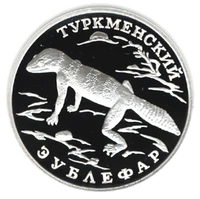 RR5109-0010R Туркменский эублефар.png