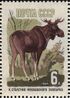 The Soviet Union 1964 CPA 3051 stamp (Centenary of Moscow Zoo. Elk or moose (Alces alces)).jpg