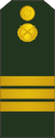 04-Moldovan Army-SGT.svg