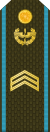 04.Armenian Air Force-SGT.svg