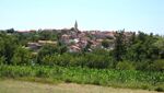 Bertonigla1.jpg