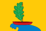 Флаг