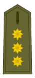 Coronel