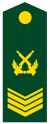 PLA Chief Sergeant Class 1.svg