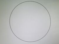 Regular 257-gon vertices shown.jpg