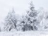 Snow Scene at Shipka Pass 1.JPG