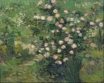 Vincent van Gogh - Roses - Google Art Project.jpg