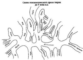 Генеалогия тюрок