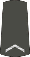 04-Serbian Army-SGT.svg