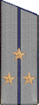 погоны 1956