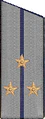 погоны 1956