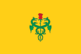Флаг