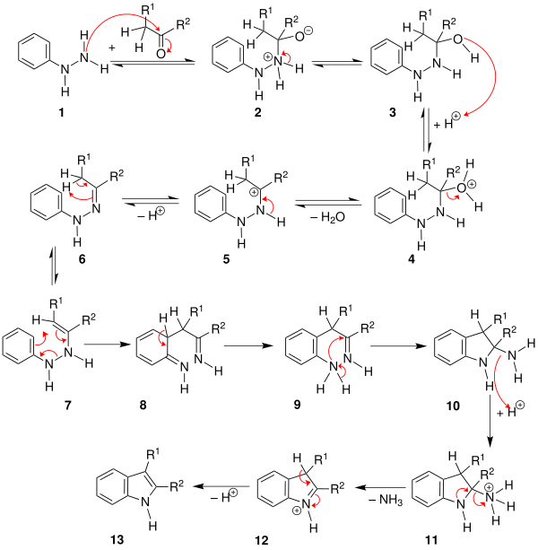 Fischer-Indol-Reaktion 2e.svg