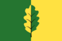 Flag of Dubovskoe (Perm krai).png