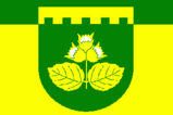 Флаг