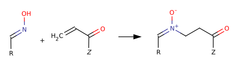 Oximes.N-alkylation.to.Nitrones.svg