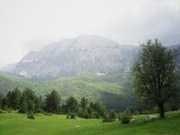 Parku Kombëtar Zall-Gjoçaj (v. 2013).jpg