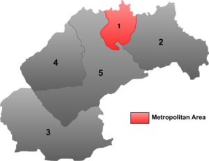 Songyuan mcp.png