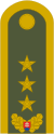 Army-SVK-OF-08.svg