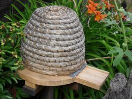 Bee Skep, stand and landing board, Skansen, Stockholm.jpg