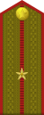 CCCP-Army-OF-01a (1943–1955)-Field.svg