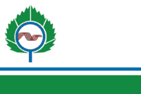 Flag of Koltsovo (Novosibirsk oblast) (2008).png