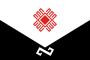 Flag of Shorunzhinskoe (Mari El).svg