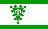 Флаг