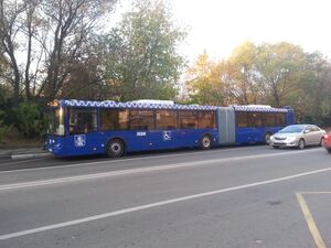 LiAZ-6213 05268.jpg